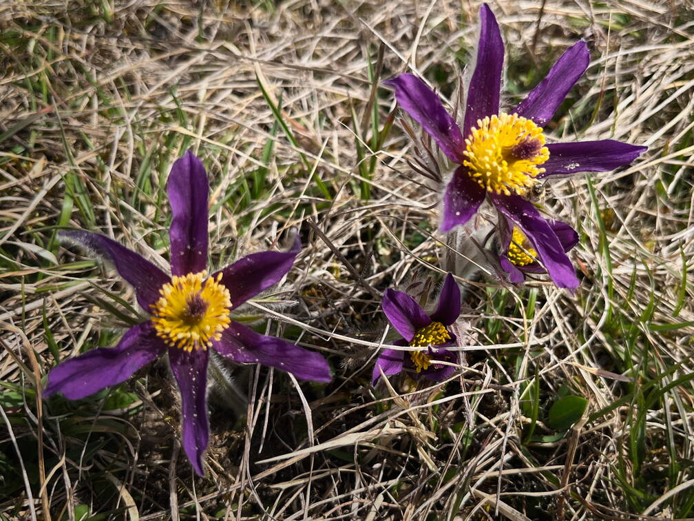 25-03-21 12-22-00 2485